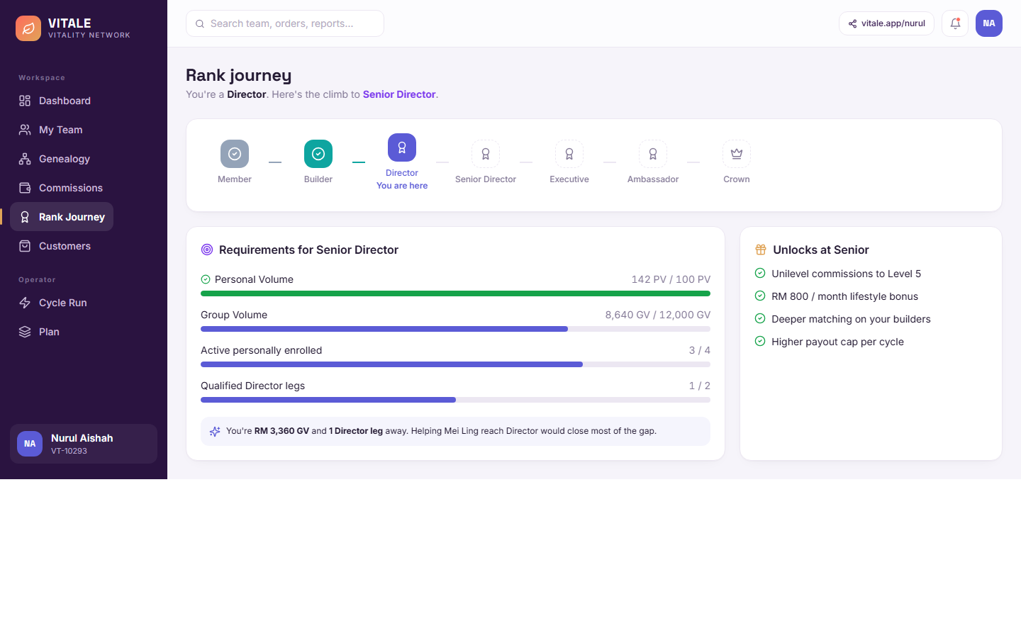 Gamified rank journey